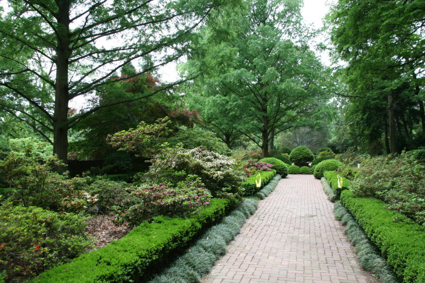 Morrison Arboretum, United States